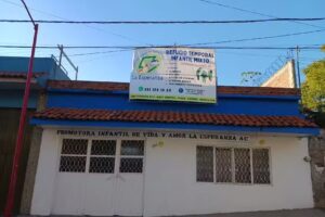 Promotora Infantil de Vida y Amor La Esperanza A.C.