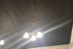 Proximamente Hotel Calakmul Explorer