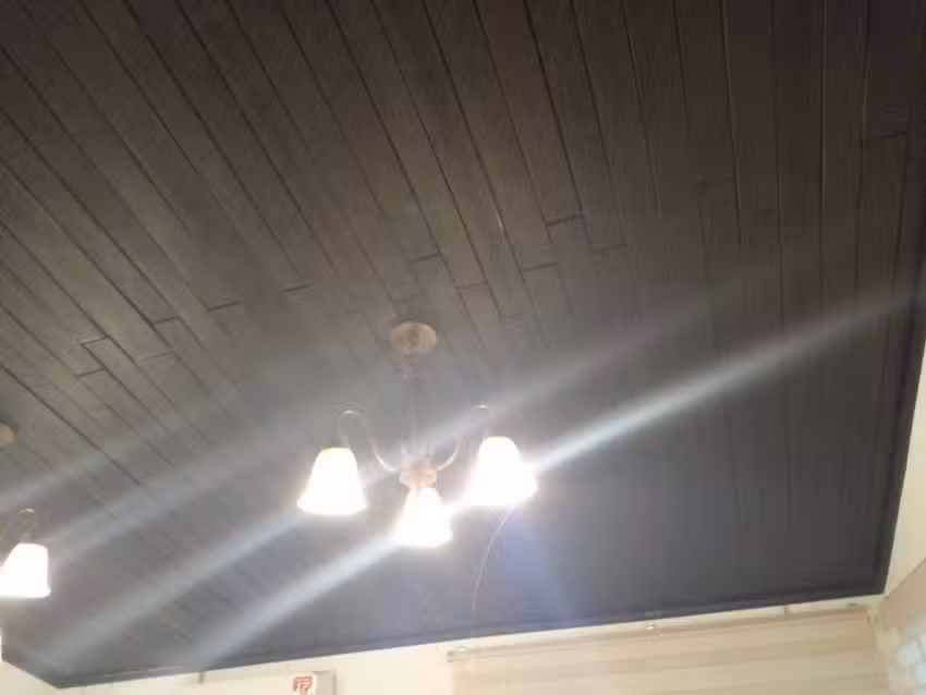 Proximamente Hotel Calakmul Explorer