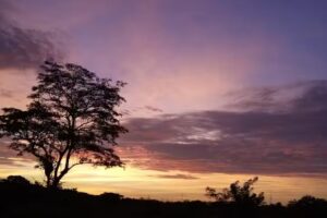 Quinta San Joaqu&iacute;n