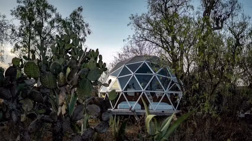 Ra&iacute;ces M&eacute;xico