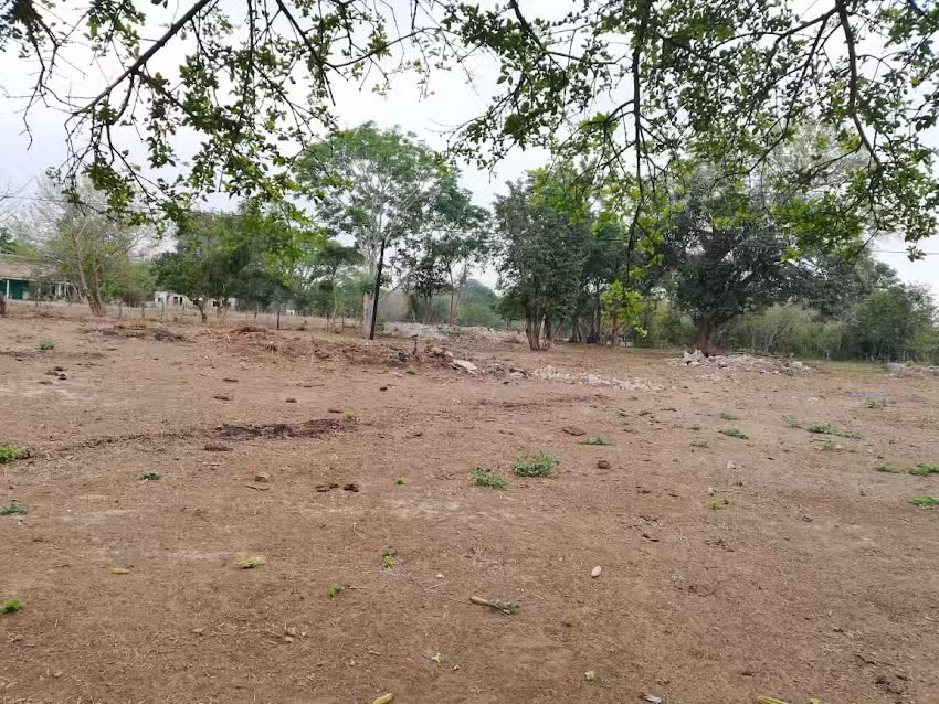 Rancho Guillermo Reyes