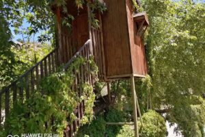 Rancho La Esmeralda, Las Borregas