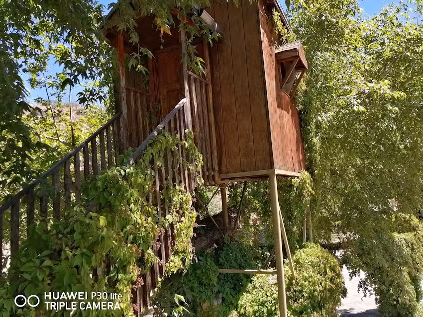 Rancho La Esmeralda, Las Borregas