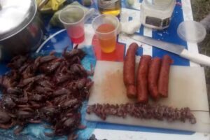 Rancho Palos Colorados