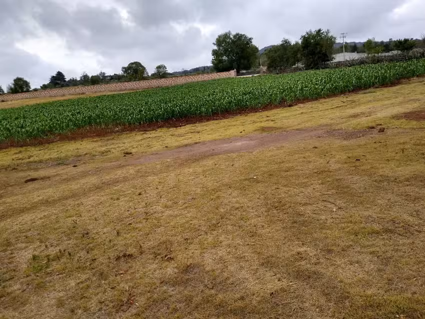 Rancho san Isidro la tenencia