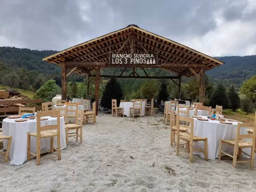 Rancho Silvicola &ldquo;Los Tres Pinos&rdquo;