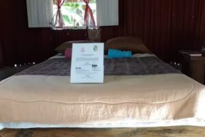 Rural House &ldquo;El Sendero Del Jaguar&rdquo;- Mayan Zone