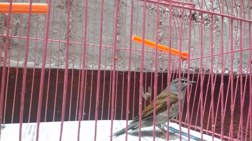 salon del maestro jubilado