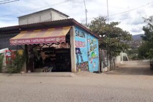 Salon y Alberca las abejitas