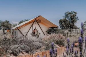 Salterra Glamping