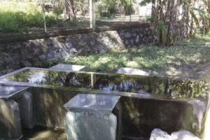 San Antonio Acachautla