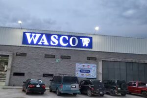 San Francisco del rinc&oacute;n