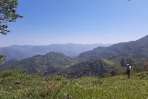 Santa Maria de Alamos