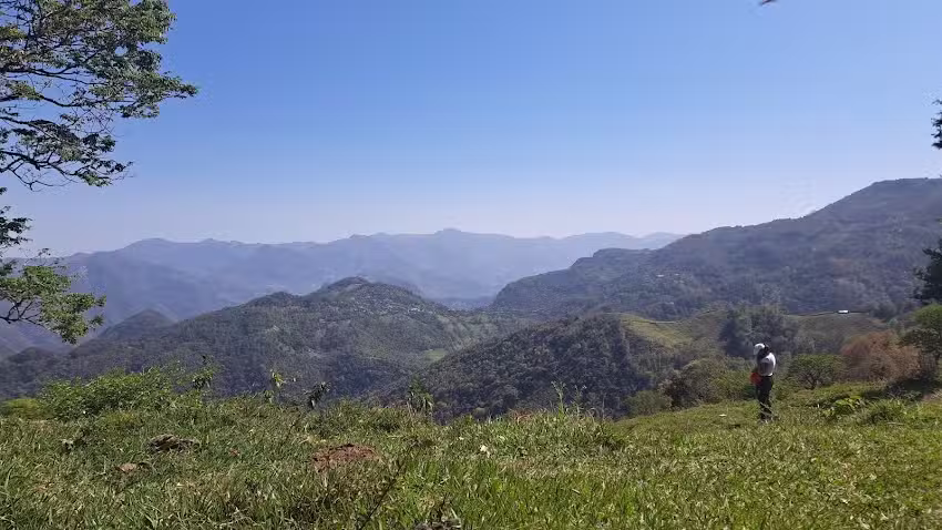 Santa Maria de Alamos