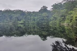 Santuario Zona Lacandona