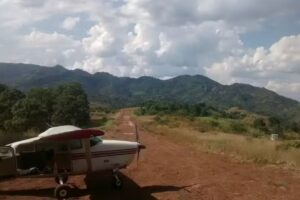 Saucito De Los P&eacute;rez