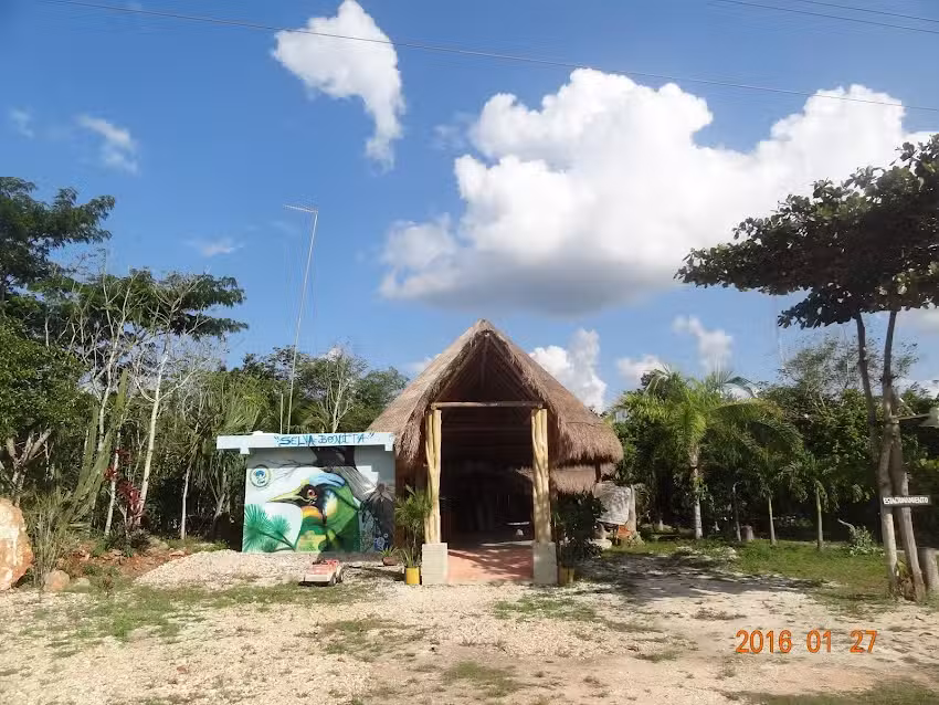 Selva Bonita / Centro ecotur&iacute;stico K&iacute;ichpam K&rsquo;&aacute;ax