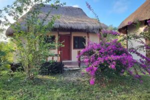 Servicios Tur&iacute;sticos Garra de Jaguar Calakmul