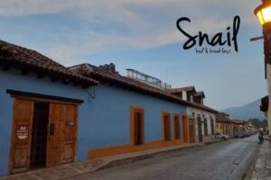 Snail Bed and Breakfast