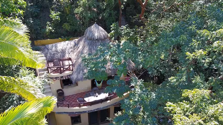 Tailwind Jungle Lodge