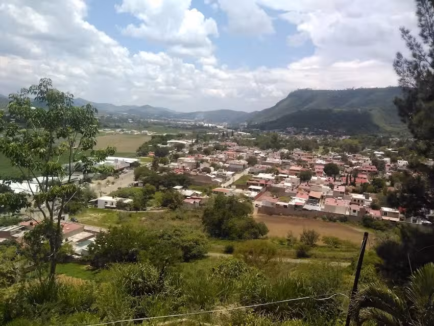 Tamazula de Gordiano jalico