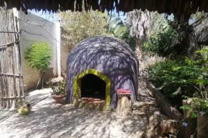 Temazcal Matamoros