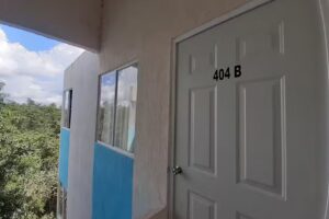 The Jungle Side Apartment