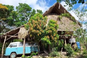 The Republic Of Corn