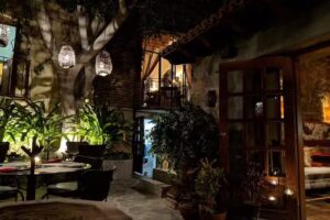 The Vibe B&B Urban Living In Todos Santos