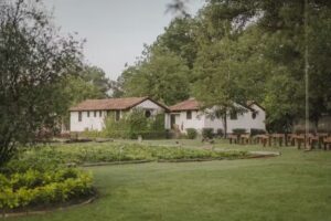 Tierra y Amor San Miguel de Allende.