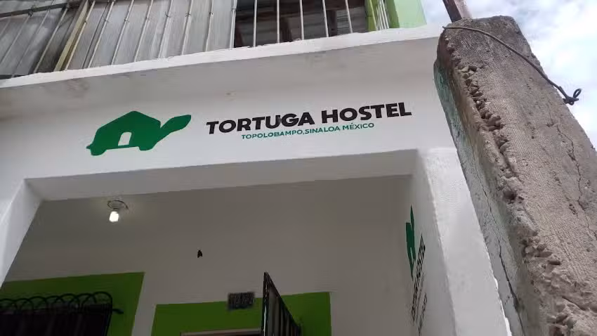Tortuga Hostel Sinaloa