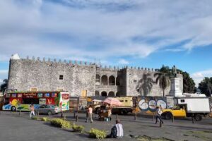 Tours y Hostal 399 Conejos y Yo