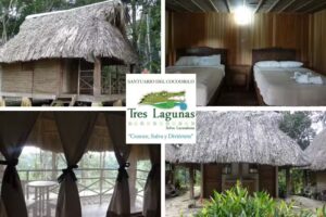 Tres Lagunas, Selva Lacandona