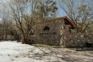 Tres Nogales Villas & Suites