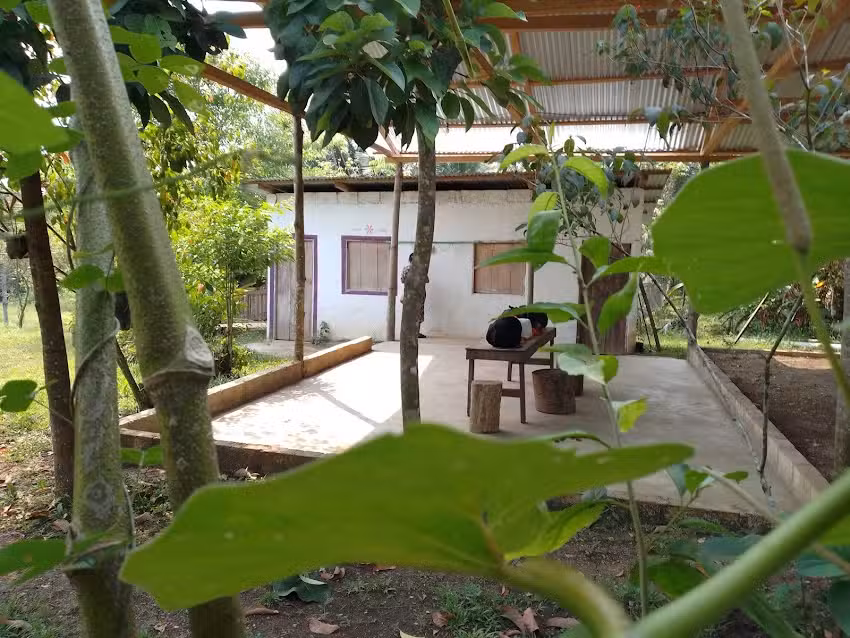 Tuc&aacute;n Verde Ecol&oacute;gico Yaaxbache