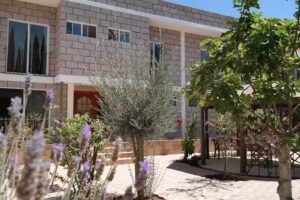 Tulipanes Apartments