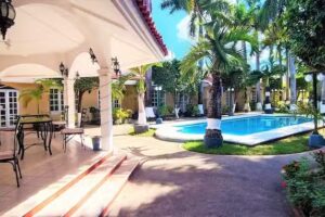 Tulipanes Canc&uacute;n