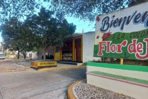 Unidad Habitacional Flor De Jamaica.