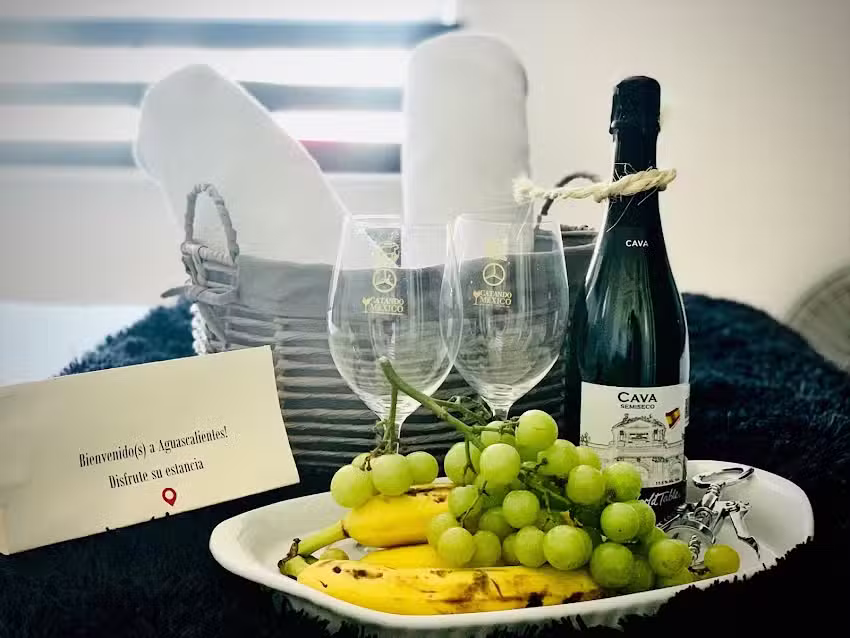 Urban Home Aguascalientes