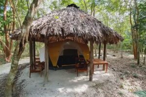 Valent&iacute;n Natural