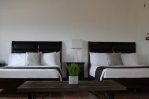 Vi&ntilde;as del Castillo Hotel Boutique & Vin&iacute;cola