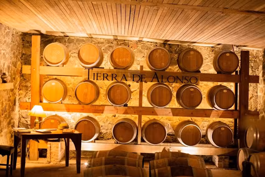 Vi&ntilde;edo Tierra De Alonso
