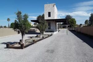 Vi&ntilde;edos San Francisco Y Vi&ntilde;edos San Lucas