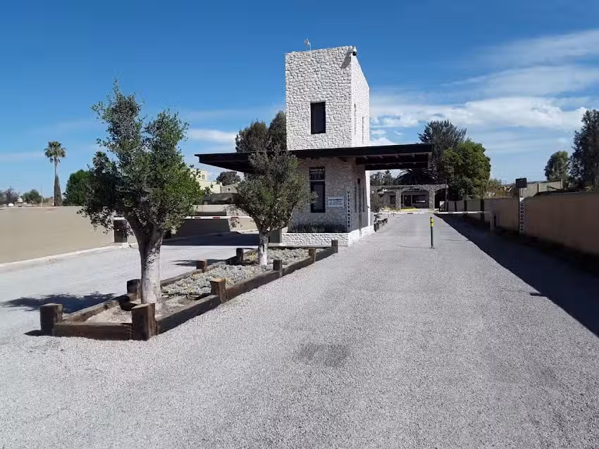 Vi&ntilde;edos San Francisco Y Vi&ntilde;edos San Lucas