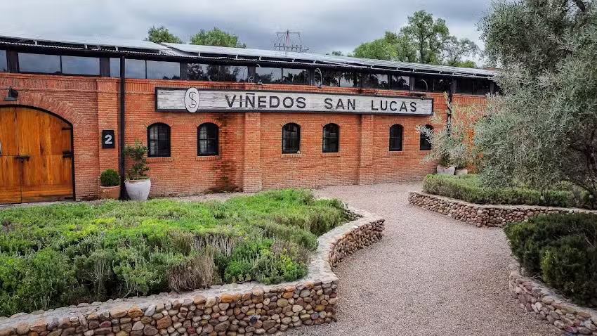 Vi&ntilde;edos San Lucas