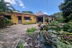 Wayak (Propiedades Wayak)